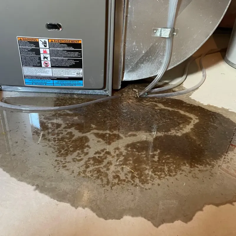 Appliance Leak Cleanup in Texas County, OK